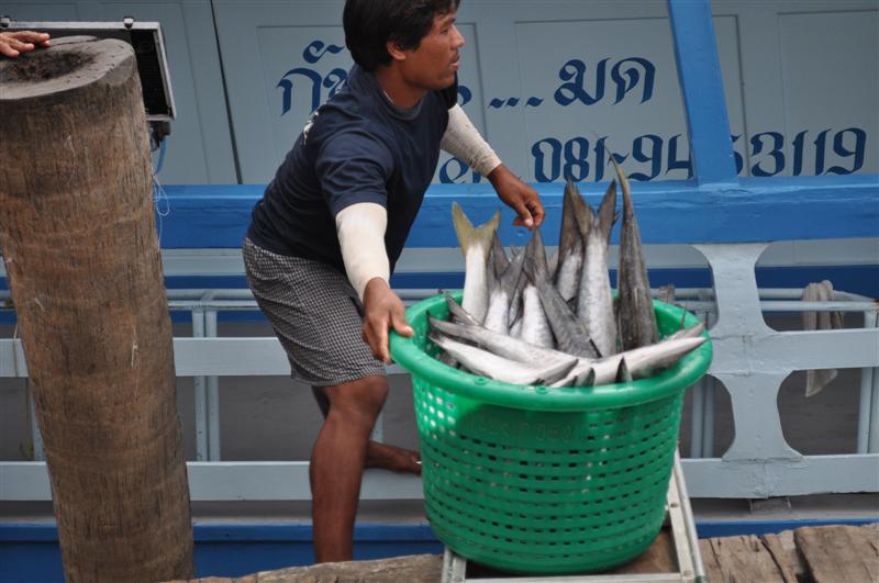 ได้ตกกันทั่วถึง ทั้งเด็กน้อย ผู้หญิง และ คน ชะ รา....