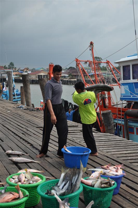 ขอบคุณเด็กเรือ คนขยัน