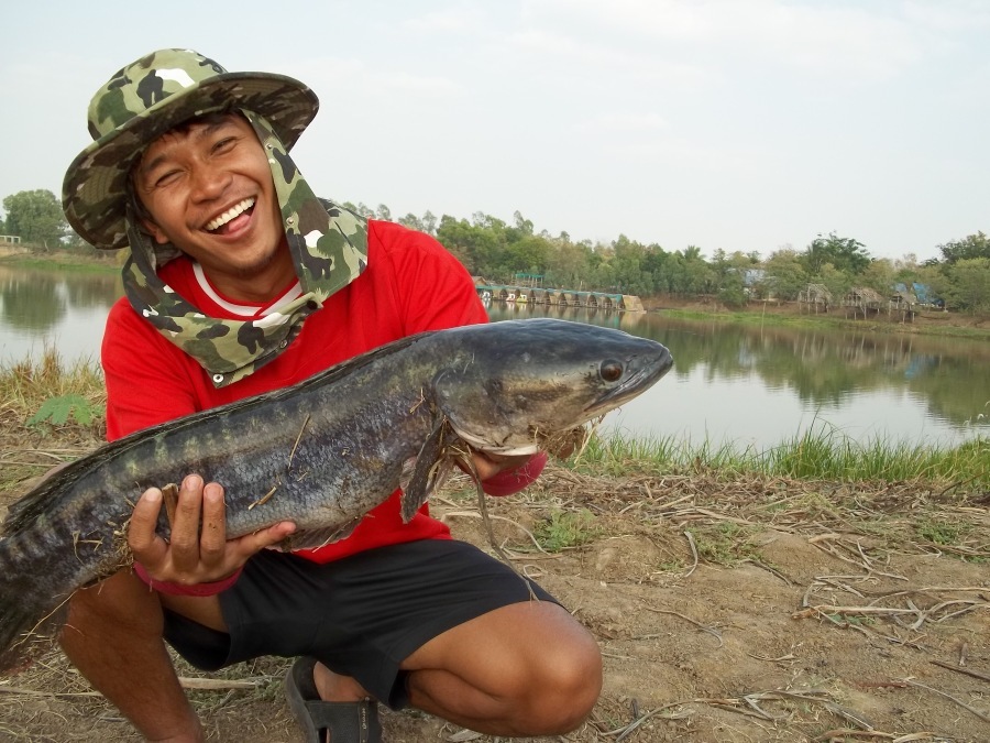 ดีใจไปหน่อยภาพเลยมาครึ่งเดียว :laughing: :laughing: :laughing: :laughing: :laughing: :laughing: :lau