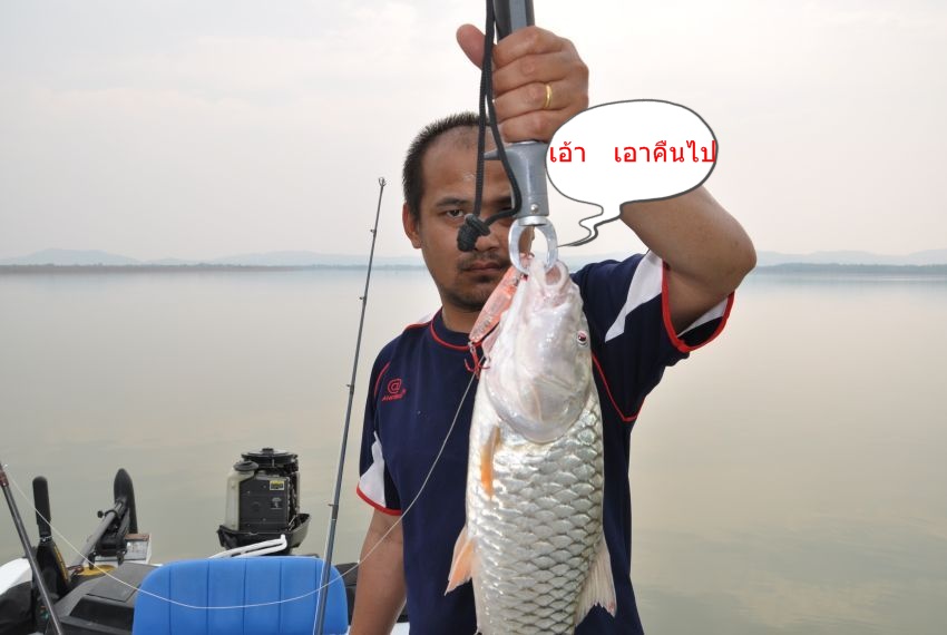 [q][i]อ้างถึง: เด็กพระบาง posted: 13-04-2554, 13:16:42[/i]

+1+
