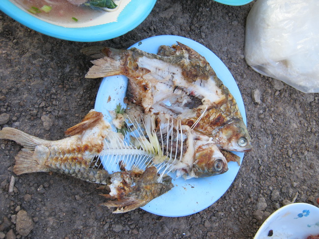  :umh: :umh: :umh:

กินเหลือแต่ก้าง

 :laughing: :laughing: