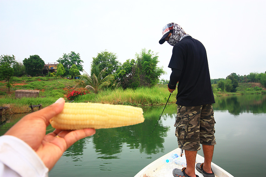 คนหัวเรือ รับ ข้าวโพดต้ม ซักฝัก ใหมค