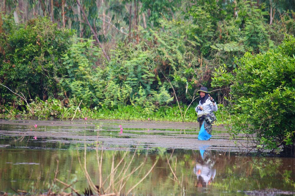 ผมยังไม่ทันลงเรือเลย  หมีกริซลี่ก็ล่อปลาเข้าให้แล้วววว... :cheer: :cheer: :cheer: :cheer: