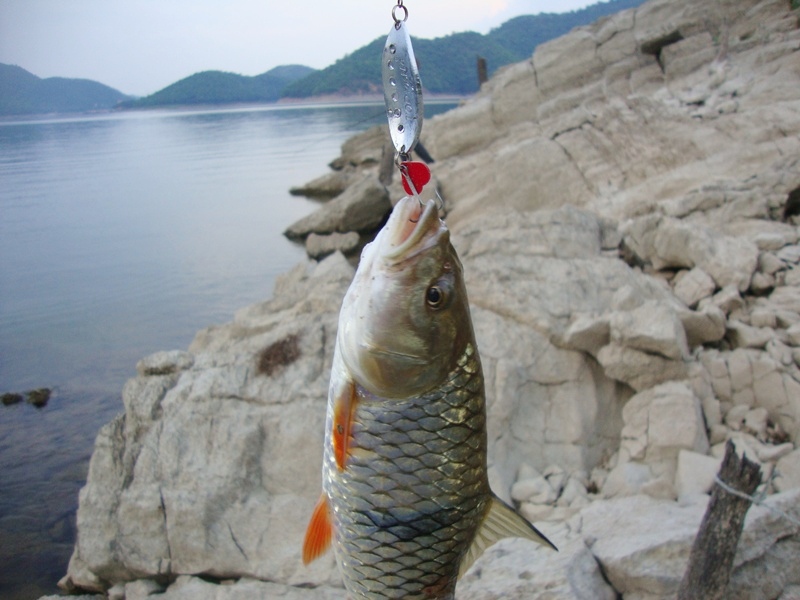 [q][i]อ้างถึง: Mong_Actionlure posted: 16-04-2554, 19:19:33[/i]

 [q]จำไว้
