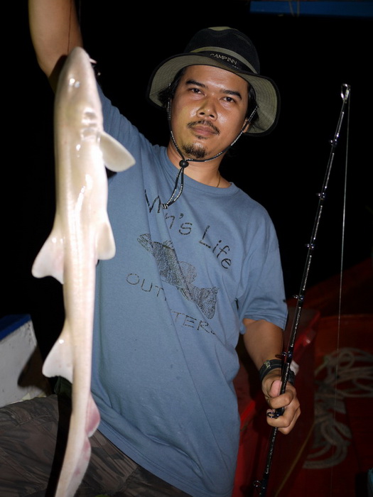 ฉลามตัวแรกในชีวิต ดิ้นดีจัง