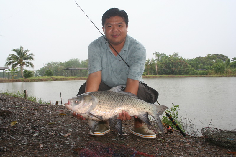 ปลานิลหย่าย...                      :laughing: :laughing: :laughing:




