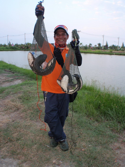 แบบนี้แสดงว่าไม่เท่าไหร่ ..........................