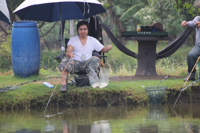 เอาไปดื้อๆ
ตาปีเตอร์
