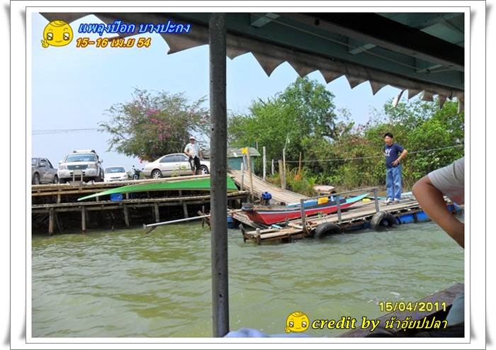 +++ท่าลงเรือของลุงป๊อก ลุงแกให้พวกเราลงเรือเพื่อไปส่งที่แพลุงป๊อก น้าอุ้ยกำลังมองหาแล๊มป์(ท่าสำหรับเ