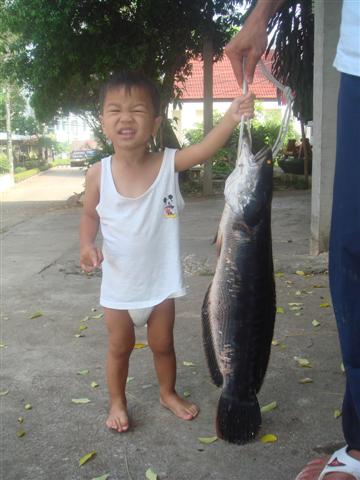 สูงเกือบเท่าลูกชาย หัวแก้ว หัวแหวน ผมเลยนะเนี้ย :cool: