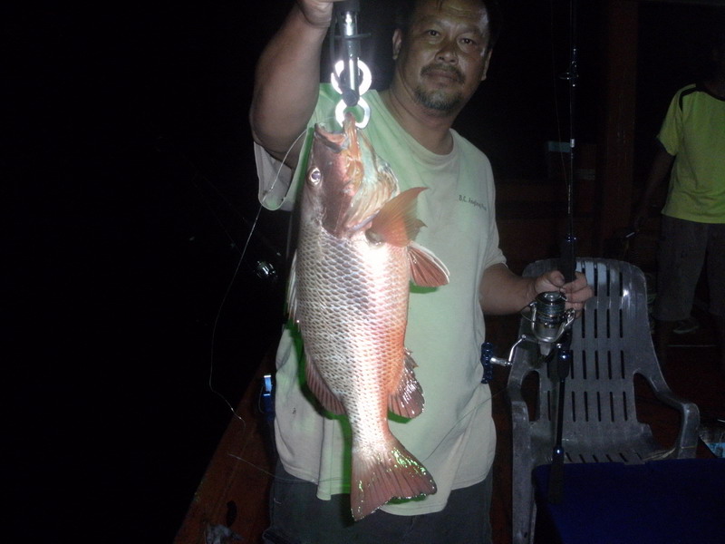 กลายเป็นไอ้เขี้ยว..แหล่มไปเลย..

