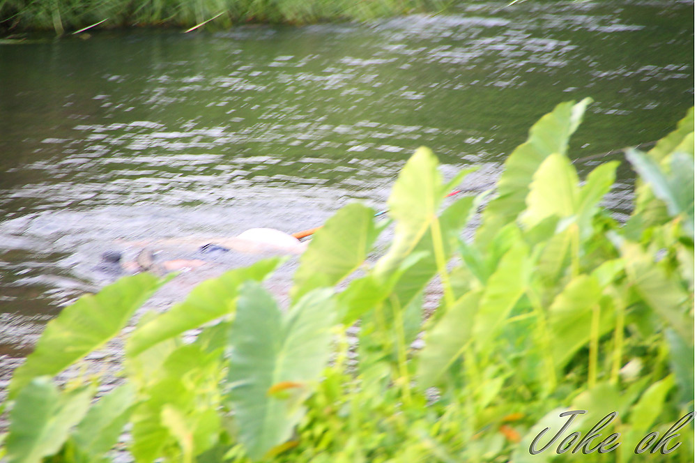 ป๊าดดดดด...เสียงอีตาเป้าโดดน้ำเล่นนี่เอง..งานเข้าเลยตรู :mad: :mad: :mad: :mad: