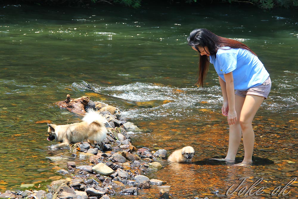 เล่นน้ำกันสนุกเลย :love: :love: :love: :love: