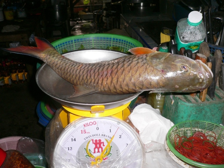 [q][i]อ้างถึง: Mong_Actionlure posted: 19-04-2554, 20:06:43[/i]

+ตามมาช
