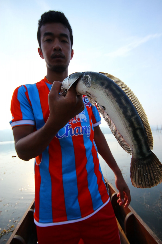 [q][i]อ้างถึง: ครูเอ๋ posted: 19-04-2554, 22:25:45[/i]




+ ตา