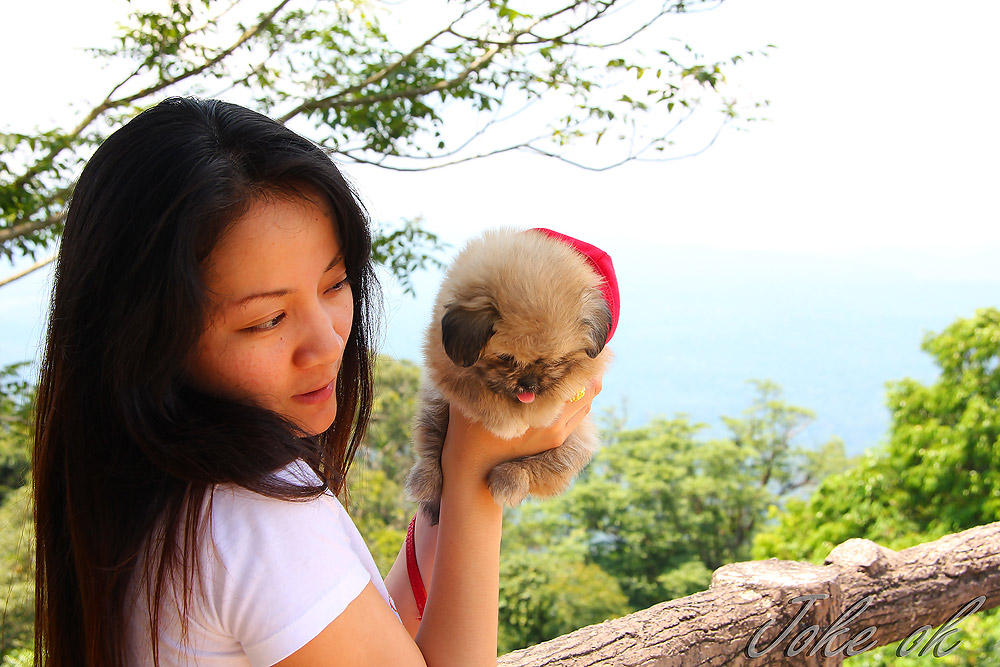  แนะนำตัวน้องServoสมาชิกใหม่ ก้มหน้าก้มตาเชียว:love: :love: :love: :love: :love:
