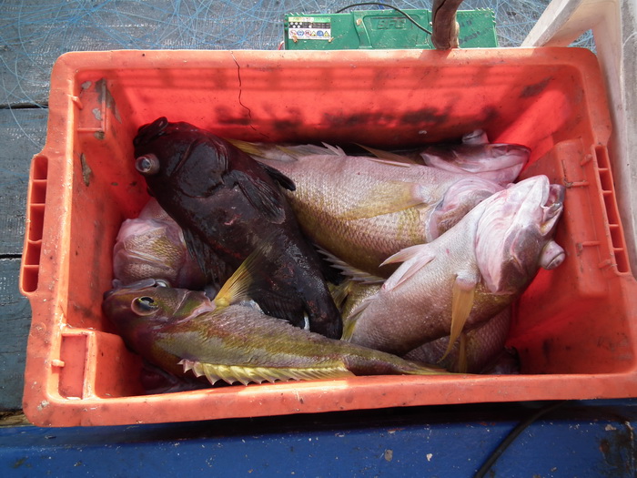 ตัดมาวันที่ 3 ช่วงเช้าไต๋นะวิ่งเรือ