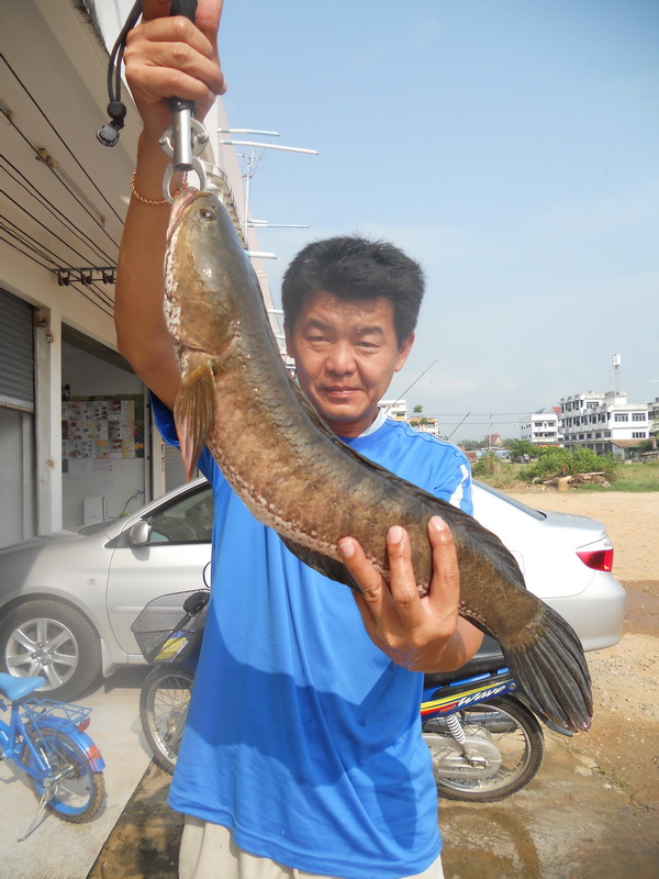 จัดให้ลุงแกรอีกรูป

 :tongue: