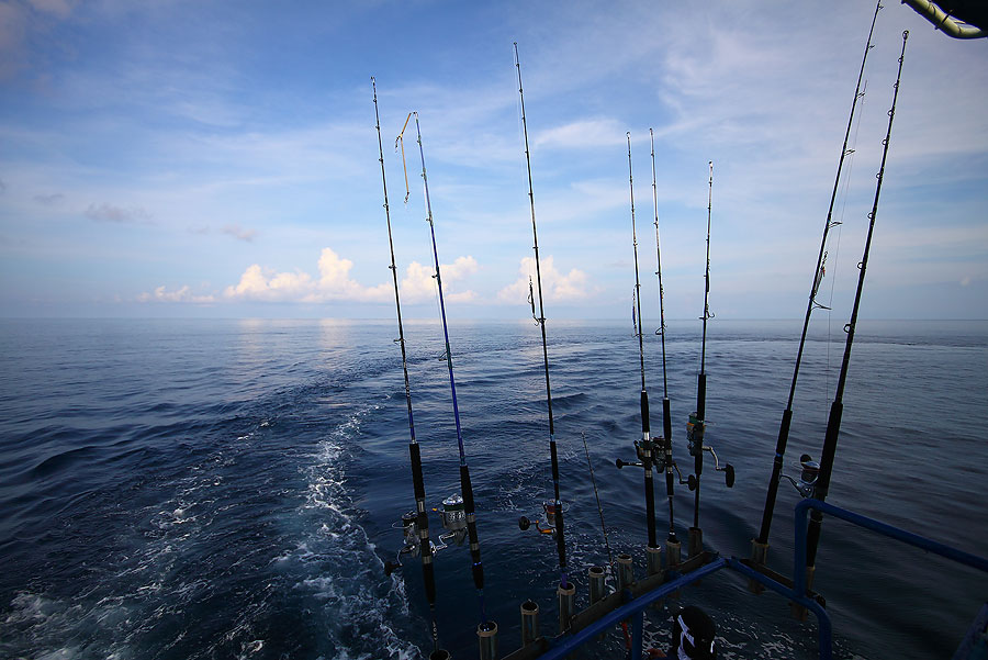 ไม่กินก็ย้าย.........
วนเรือไป วนเรือมา จนเกือบจะ10โมงแล้ว.......
 :spineyes: :spineyes: