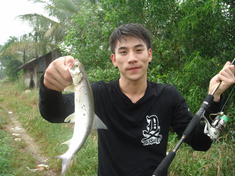นวลจันทร์น้อยตัวที่ 2 ของผม :laughing: