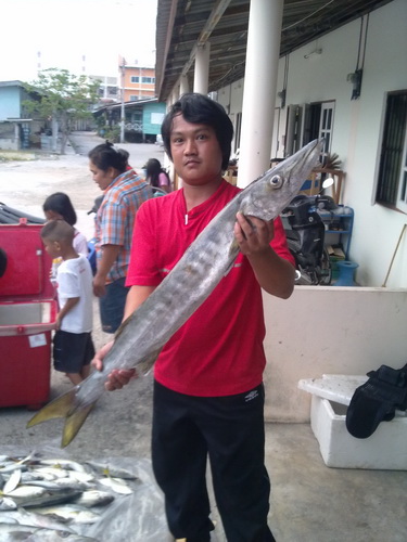 ปลาสากที่สัพยื้อมีแต่บิกๆ