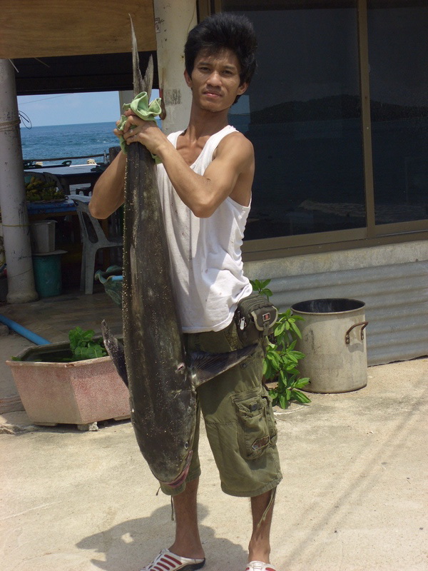 ภาพตัวอย่าง