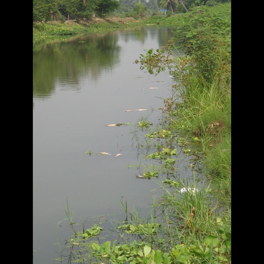 [q][i]อ้างถึง: Jakapad8 posted: 21-04-2554, 21:42:52[/i]

 :sad: :sad: :sad: :sad: :