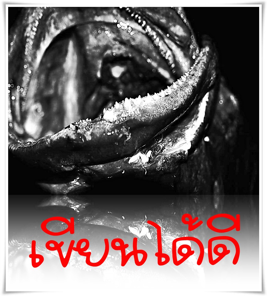 ++++นับถือ
 :cheer: :cheer: :cheer: :cheer: :cheer: :cheer: :cheer: