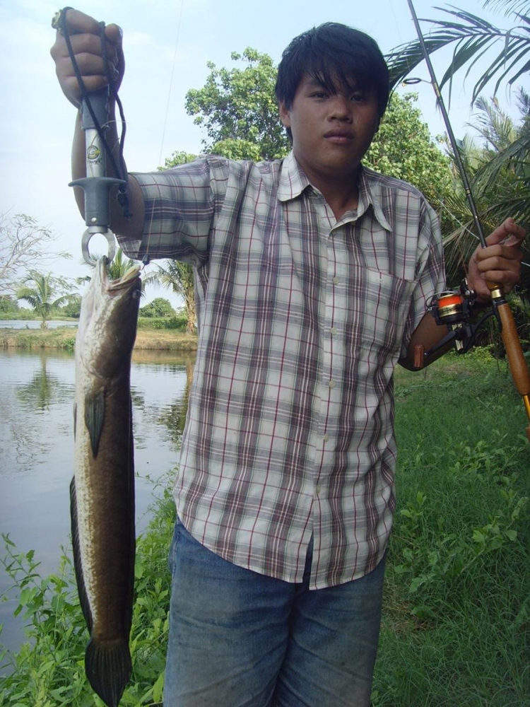 เพ่ เพ่ถ่ายรูปให้ผมหน่อย....จัดปายยยน้องงงงงง... :cheer: :cheer: