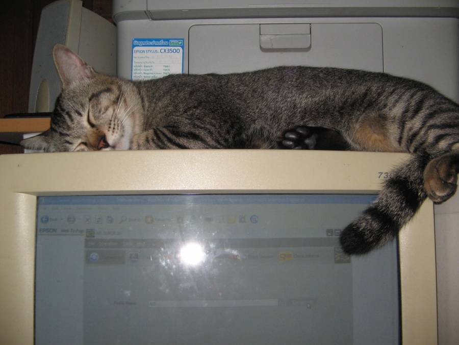 ...เดี่ยวพรุ้งนี้มาต่อให้นะครับ...ไม่ไหวเเล้ว...ง่วงงงงงงงงง :sleeping: :sleeping: :sleeping:
...ขน