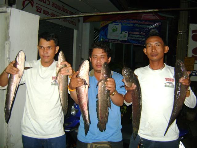 3ทหารเสือ น้าโย น้าอ๋อย ดาบรุ่ง :rose: :rose: :rose: :rose: :rose: :rose: :rose: