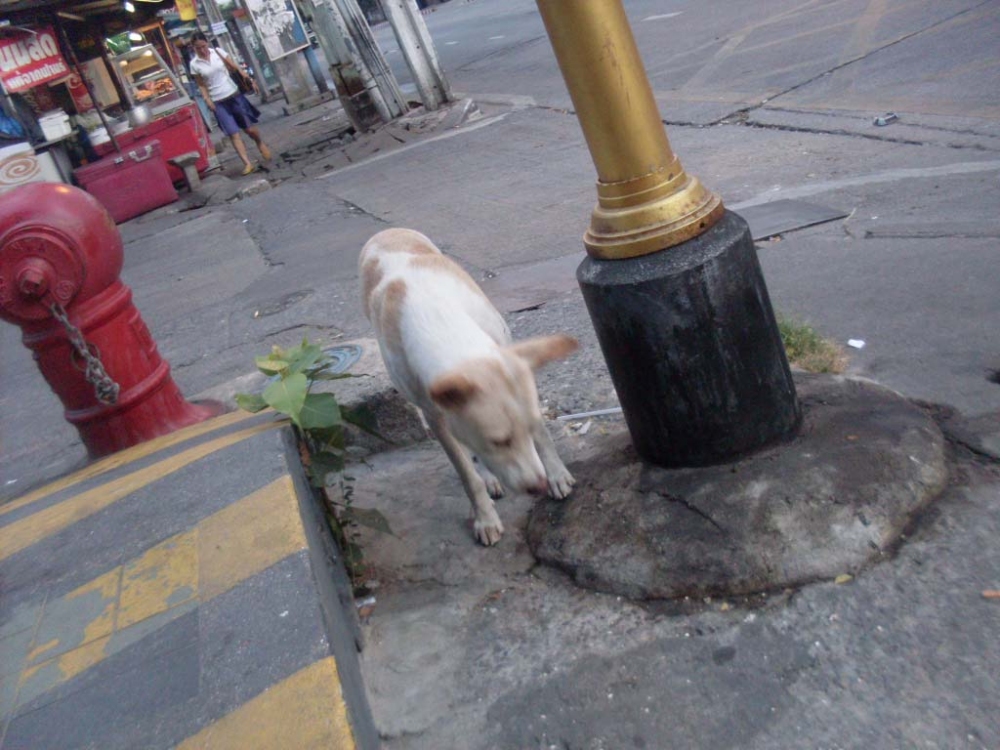 รอจนสว่าง :laughing: :laughing: :laughing: :laughing: