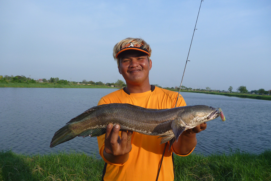 ท่านหัวหน้า กับปลาก่อนกลับ  :smile:
