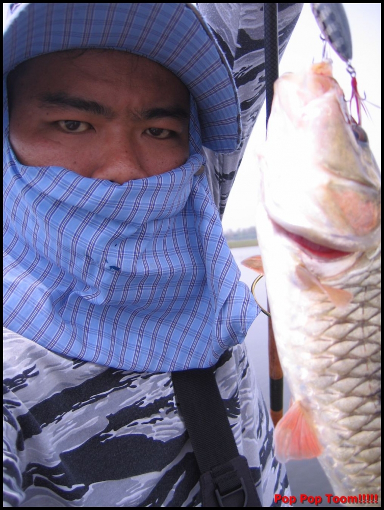 [q][i]อ้างถึง: arowanaclub posted: 26-04-2554, 15:30:36[/i]

มาเป็นฝ