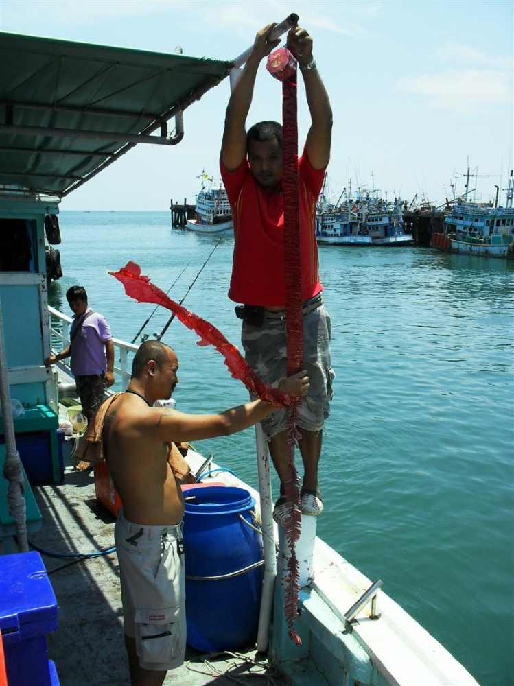 พอเรือเริ่มออกจากท่าเรือก็สิ่งนี้ครับ :grin: