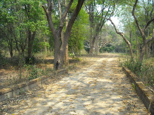 สะพานเก่า
