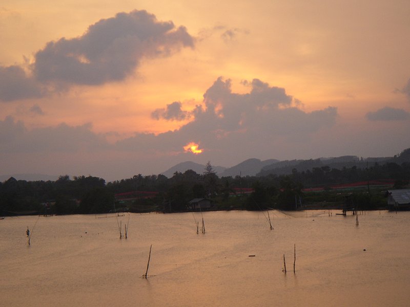 [q][i]อ้างถึง: Bike_แปดริ้ว posted: 18-04-2554, 21:36:41[/i]

ตามชมกะพงธรรมชาติด้วยคนคร้าบบบบบบ  :
