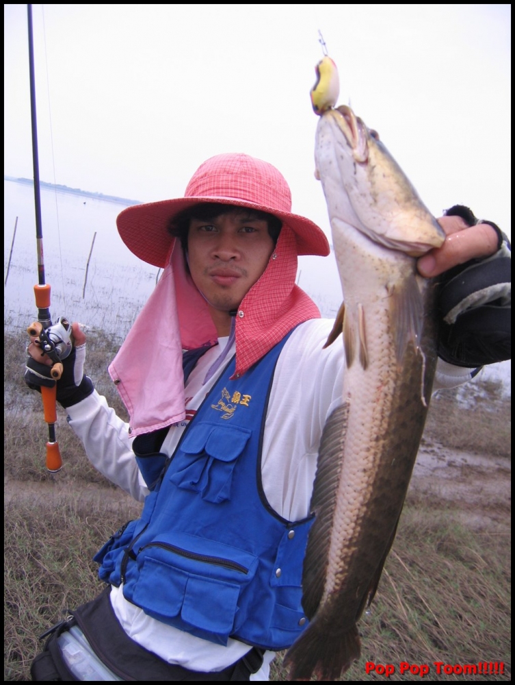 [q][i]อ้างถึง: ZEANG D_DAY posted: 26-04-2554, 20:21:50[/i]

++++++ตามชม