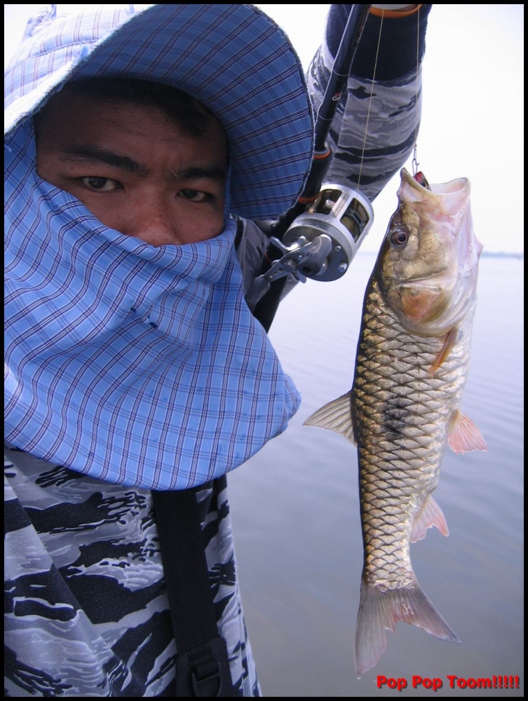 [q][i]อ้างถึง: ดร.มนตรี posted: 26-04-2554, 20:45:01[/i]

 :grin: :gri