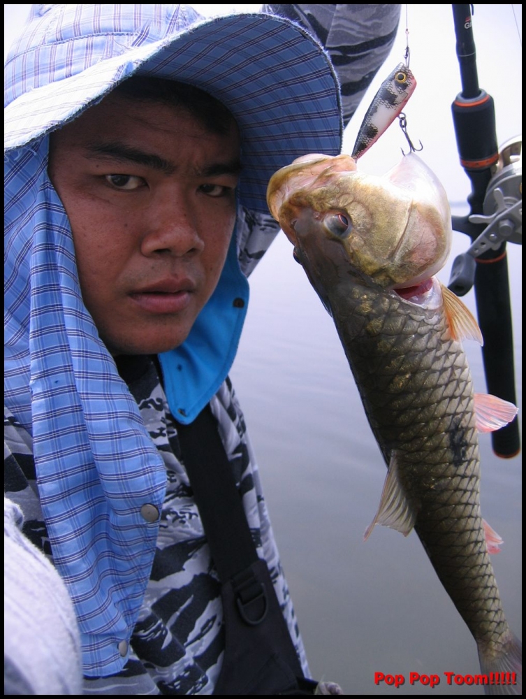 [q][i]อ้างถึง: DoctorK posted: 26-04-2554, 21:02:20[/i]

+ :cool:[/q]
..สวั