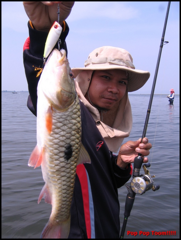 [q][i]อ้างถึง: ไร้ท์เอฟซี posted: 27-04-2554, 11:49:29[/i]

 :um