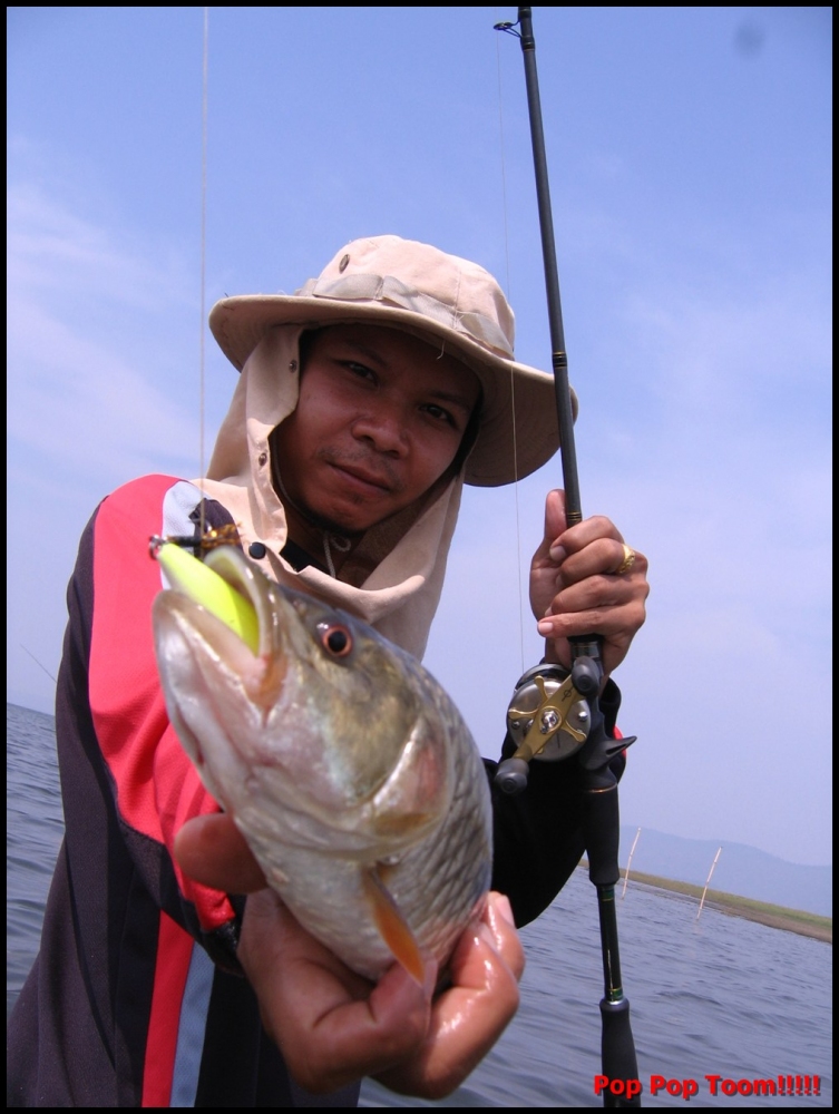[q][i]อ้างถึง: aon_saimfishing posted: 27-04-2554, 12:53:34[/i]

 :cheer: :cheer: :c