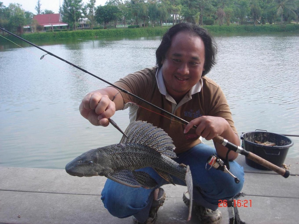 [q][i]อ้างถึง: noch posted: 27-04-2554, 06:32:47[/i]

แอบไปกะตาค