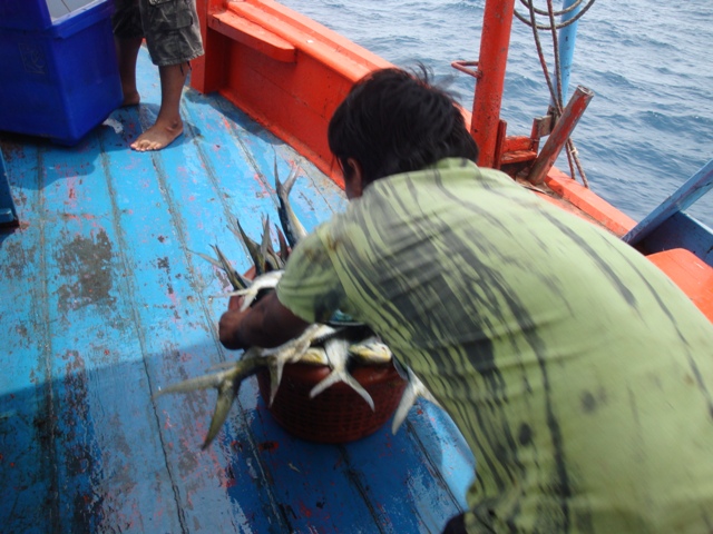 
เจ้าชาติ ทำหลายอย่างบนเรือ เป็นทั้