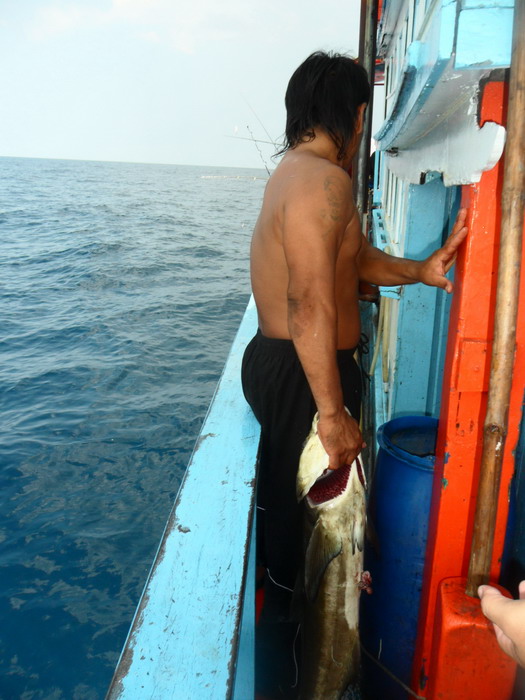 ถ่ายรูปเสร็จ ก็ให้เจ้าชาติ เด็กเรื