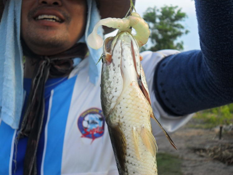 ปลาตัวแรกในชีวิตของนายช่าง จากการ Texas  :laughing: :laughing: