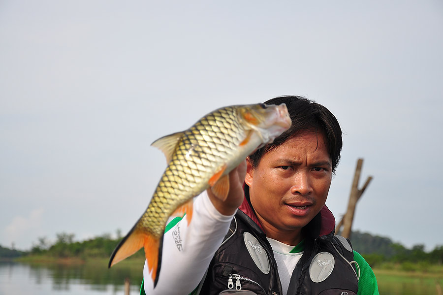 เอาใหม่นะ :grin:

ได้มาแบบนี้  :angry: :angry:

พอ