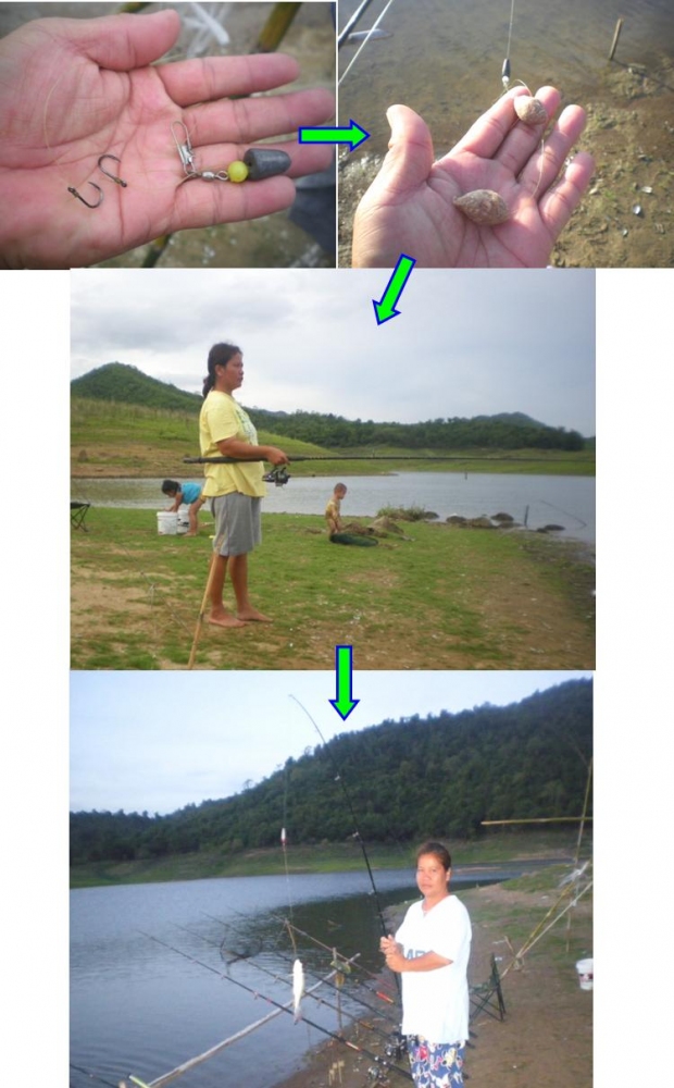 มาดูเทคนิคภรรยาผม  ชะโดเยอะ ตะเพียน