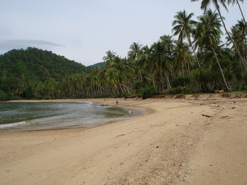 สภาพหาด สวยใช้ได้ เป็นที่ส่วนบุคคล

อีกไม่นาน มันอาจจะเป็นรีสอร์ทหรูก็ได้  ...