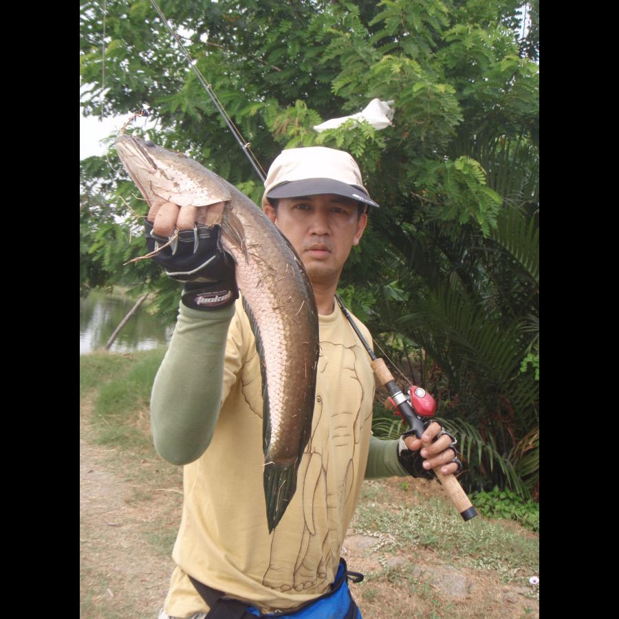 
		ทำไมถึงต้อง TEXAS RIG (เข้าเรื่องซะที)

		